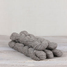 Load image into Gallery viewer, Amble 25g Mini Skeins