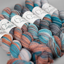 Load image into Gallery viewer, Dyed in the Wool Spincycle