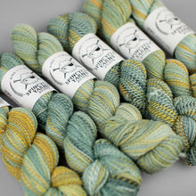 Load image into Gallery viewer, Dyed in the Wool Spincycle