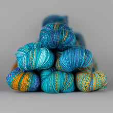 Load image into Gallery viewer, Dyed in the Wool Spincycle
