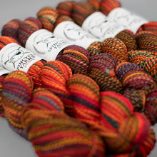 Load image into Gallery viewer, Dyed in the Wool Spincycle