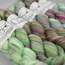 Load image into Gallery viewer, Dyed in the Wool Spincycle