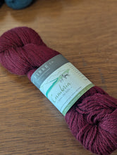 Load image into Gallery viewer, Cumbria worsted

