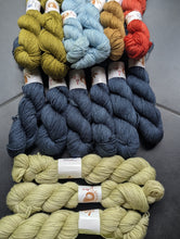 Load image into Gallery viewer, Olga's jacket yarn bundles
